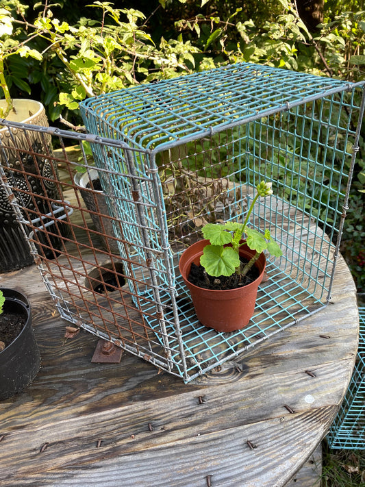 Minkbur